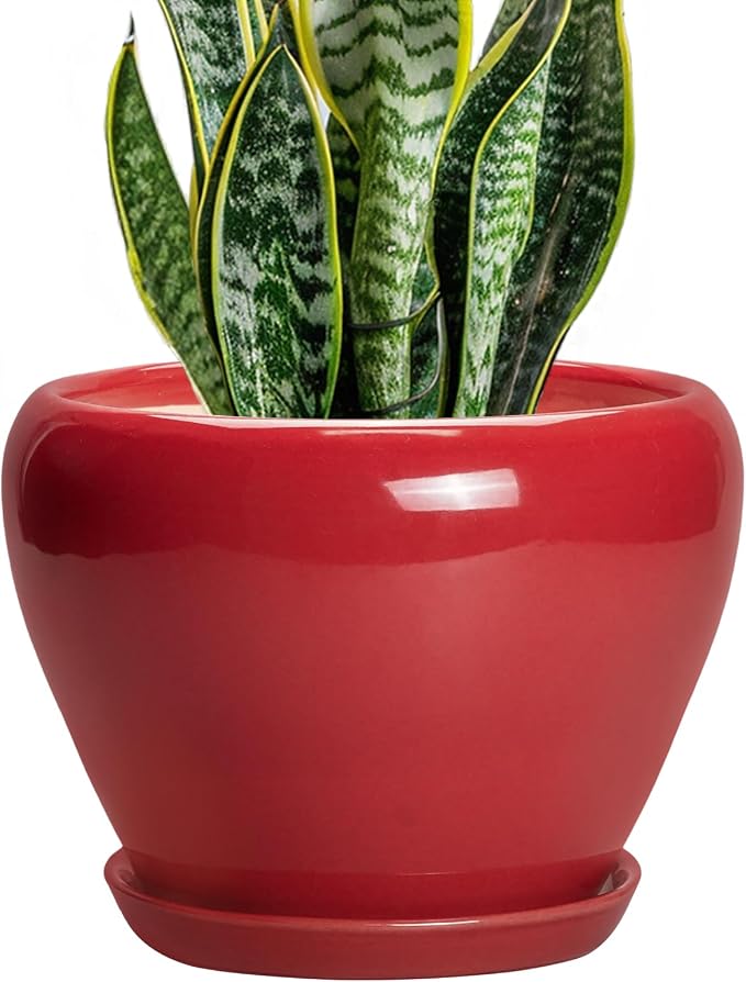 Ceramicfor Ceramic Planter for Indoor Plants 8 Inch by Ceramicfor