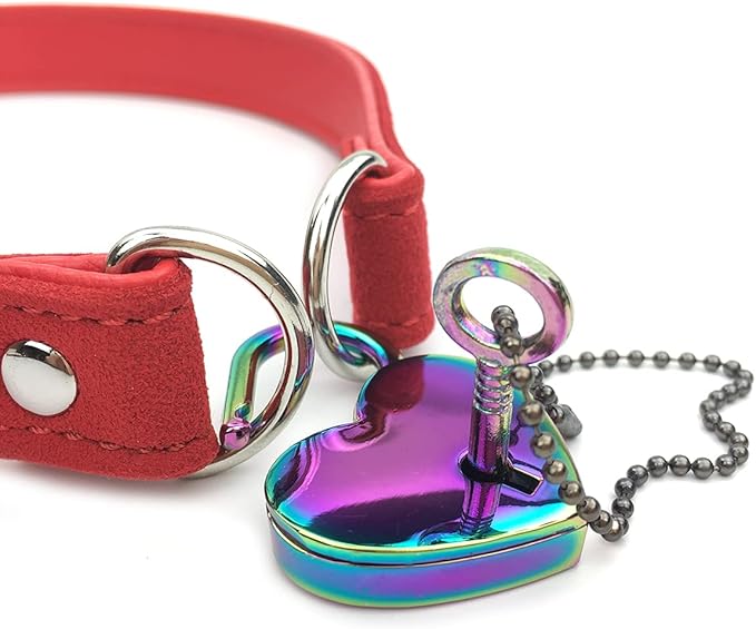 Padlock Choker Collar Necklace with Lock and Key Heart Lock Choker for Women and Men (E, 16)