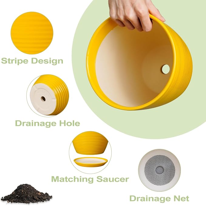 Ceramic Plant Pot - Image 6