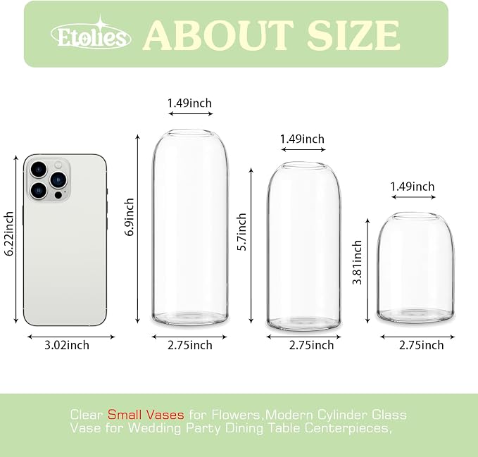 Etolies Glass Bud Vases in Bulk Set of 12, Modern Cylinder Glass Vase - Image 2
