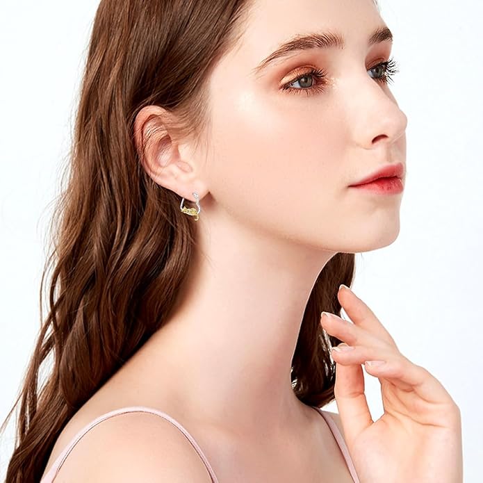 Hypoallergenic Earrings Rabbit Tiger Teddy Koala Puppy Panther Peacock Earrings Sterling Silver Animal Hug Hoop Earrings Jewelry Mothers Day Graduation Birthday Gifts for Women