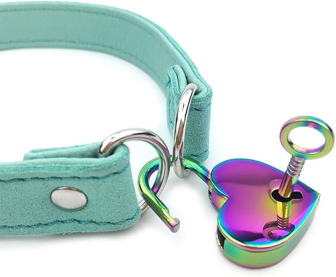 Succuba Padlock Choker Collar Necklace with Lock and Key Heart Lock Choker for Women and Men (F, 14)
