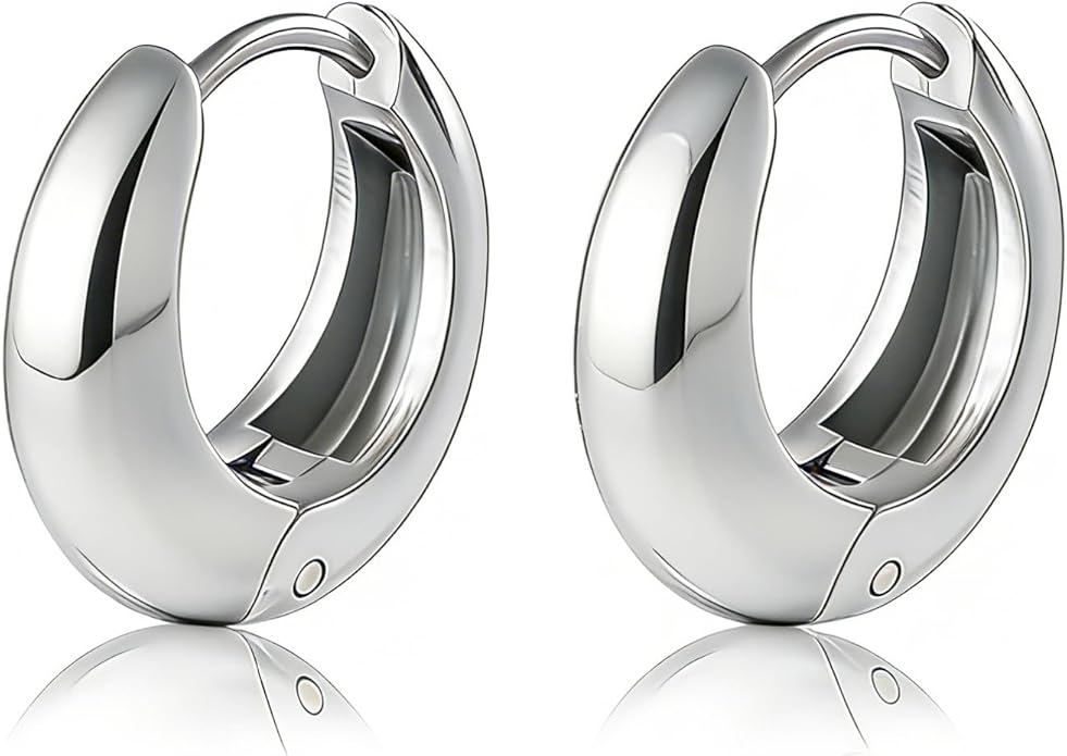 Chunky Small Hoop Earrings for Women 14mm/16mm/19mm Stainless Steel Huggie Earrings Everyday Jewelry Gift for Wife Mom, with Gift Box