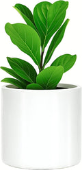 Fox & Fern Large Planter for Indoor or Outdoor, Glossy White, 10 Inch | UV & by FoxFern