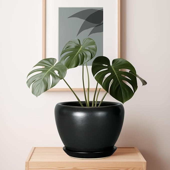 Ceramicfor Ceramic Pot for Plants - Image 7