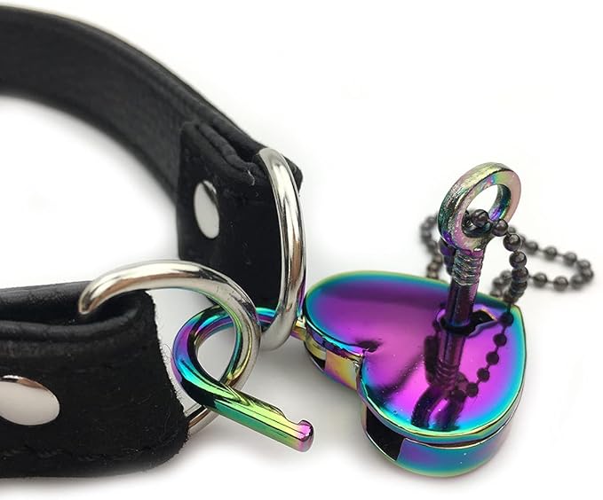 Succuba Padlock Choker Collar Necklace with Lock and Key Heart Lock Choker for Women and Men (B, 16)