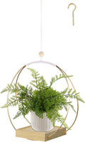 hismocal Hanging Planter for Indoor Plants, Plant Hanger by hismocal