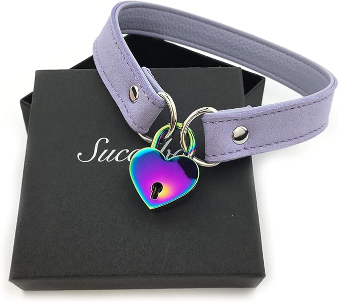 Succuba Padlock Choker Collar Necklace with Lock and Key Heart Lock Choker for Women and Men (C, 16)