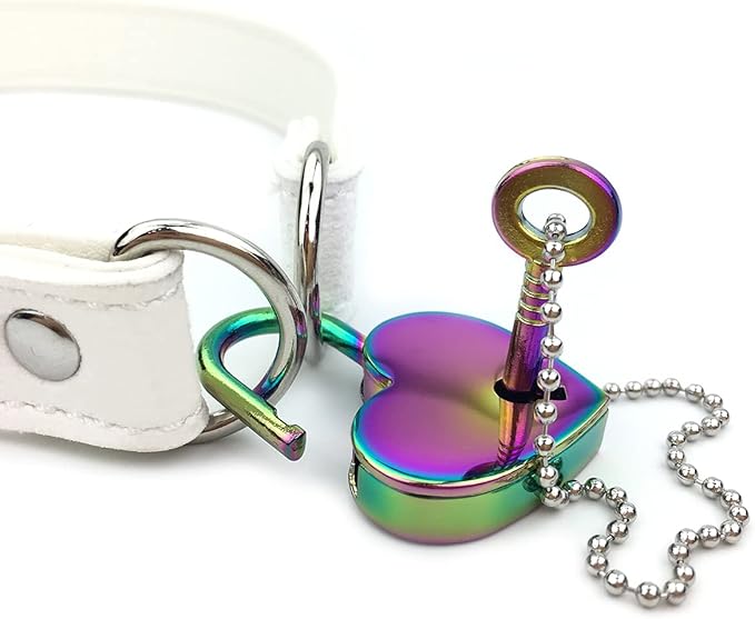 Succuba Padlock Choker Collar Necklace with Lock and Key Heart Lock Choker for Women and Men (D, 16)