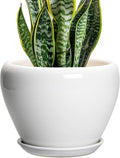 Ceramicfor Ceramic Pot for Plants, 8 Inch Planter, Glossy White | Plant Pot by Ceramicfor