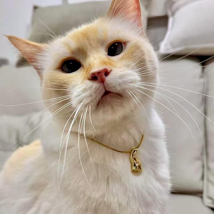 Renaiz Egyptian Gold Cat Necklace for Women - 14K Gold Plated Ancient Egypt Inspired Dainty Sitting Kitty Pendant, Bastet Charm, Hypoallergenic Cat Lover Gifts, Ultimate Elegance for Ailurophile Meow