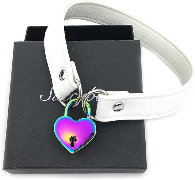 Succuba Padlock Choker Collar Necklace with Lock and Key Heart Lock Choker for Women and Men (D, 14)