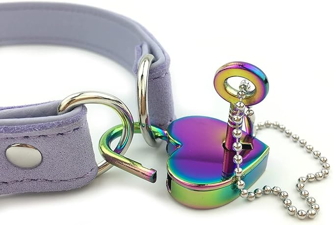 Succuba Padlock Choker Collar Necklace with Lock and Key Heart Lock Choker for Women and Men (C, 16)