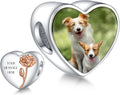 Annmors Personalized Photo Charm for Bracelet Necklaces,925 Sterling Silver Charm Love Heart Shaped Engraved Customize Picture Gift for Birthday Mother's Day Christmas,Bead Charms Jewelry for Women