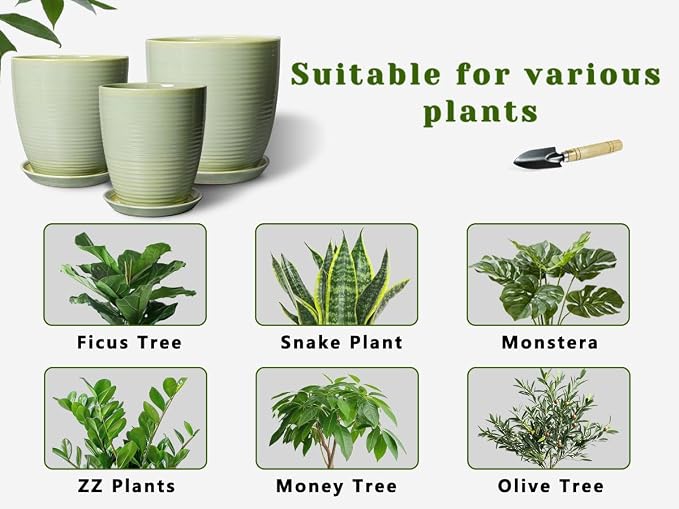 Ceramic Pots for Plants - Image 8
