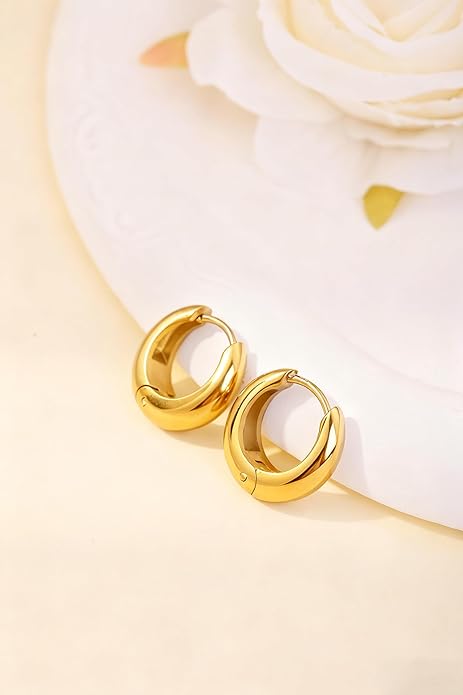Chunky Small Hoop Earrings for Women 14mm/16mm/19mm Stainless Steel Huggie Earrings Everyday Jewelry Gift for Wife Mom, with Gift Box