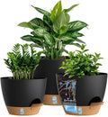 Self Watering Pots with Drainage Holes, 3 Pack 12/10/8 Inch Plant Pots with by KUGAZ