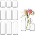 Etolies Glass Bud Vases in Bulk Set of 12, Modern Cylinder Glass Vase by Etolies