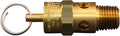 Milton S-1090-200 1/4" MNPT ASME Safety Valve by Milton