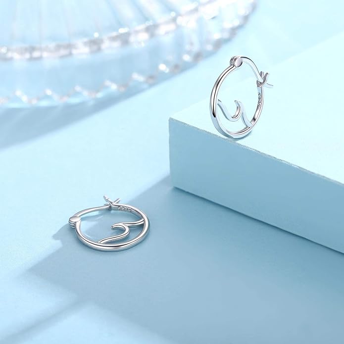 CHENGHONG Earrings for Women Girls 925 Sterling Silver Earrings Jewelry Gifts for Girls and Women