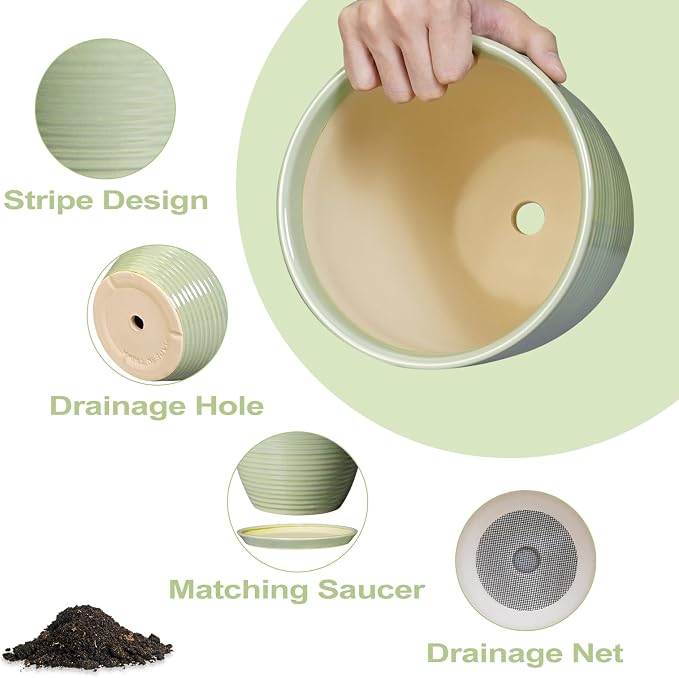 Ceramic Pots for Plants - Image 5