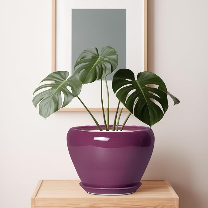 Ceramicfor 10 Inch Plant Pot - Image 7