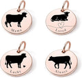 SM Design Mama Animal Charm Set – Set of 4 Stainless Steel Charms – Motherhood & Family Keepsake Jewelry Charmss