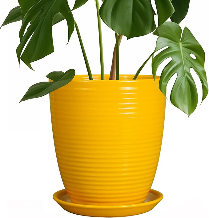 Ceramic Plant Pot by EPFamily