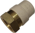 1 Pack XFITTING 3/4 in Female NPT x 3/4 in CPVC Adapter by XFITTING