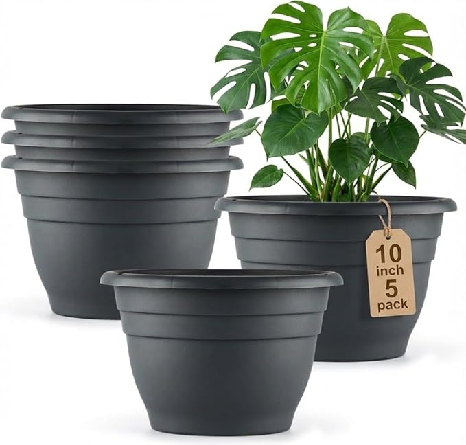 RooTrimmer 5 Pack 10 Inch Plant Pots - Image 7