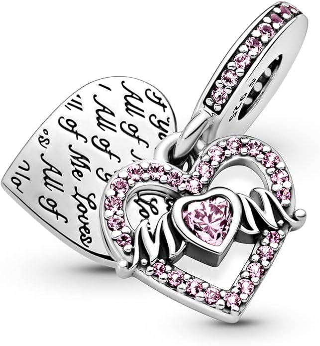 LIGHTDOG 925 Sterling Silver Charm fits Pandora Charm Bracelet Necklaces Pendant Bead Charms Jewelry Gift for Women Family Friends