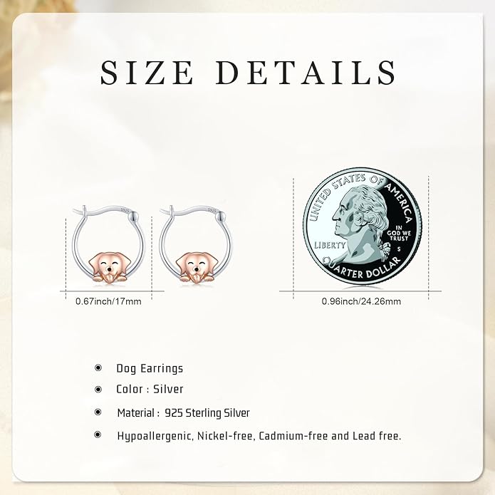 JUSTKIDSTOY Hypoallergenic Panda/Unicorn/Hummingbird/Dolphin Hoop Earrings for Women 925 Sterling Silver Animal Huggie Hoop Earrings Jewelry Gifts for Sensitive Ears