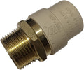 1 Pack XFITTING 3/4" CPVC to 3/4" NPT Adapter, Brass & CPVC Transition by XFITTING