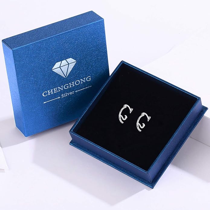 CHENGHONG Earrings for Women Girls 925 Sterling Silver Earrings Jewelry Gifts for Girls and Women