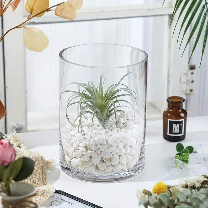 6" Wide 8" High Large Hand Blown Sturdy Clear Cylinder Glass Vase, Centerpiece - Image 4