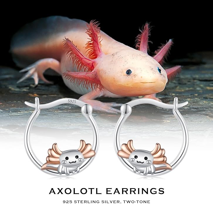 JUSTKIDSTOY Hypoallergenic Panda/Unicorn/Hummingbird/Dolphin Hoop Earrings for Women 925 Sterling Silver Animal Huggie Hoop Earrings Jewelry Gifts for Sensitive Ears