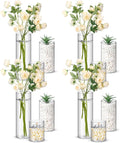 Nuogo 12 Pcs Plastic Cylinder Vases Tall Plastic Flower Vases by Nuogo