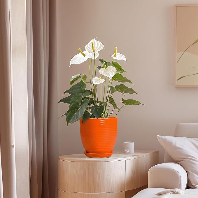 6 Inch Ceramic Plant Pots with Drainage Hole and Saucer, Flower Pot Indoor - Image 8