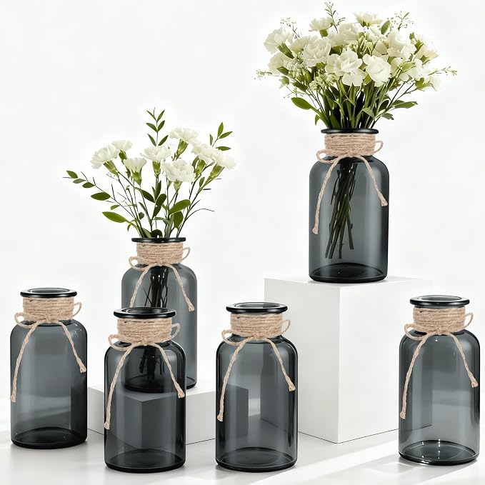 6 Pack Mason Jar Vases for Centerpieces, Wide Mouth Mason Jars by LEYIQU