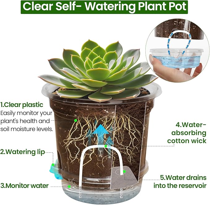 Bluepro Self Watering Pots for Indoor Plants, 6.5 Inch, Reservoir Trays and - Image 4