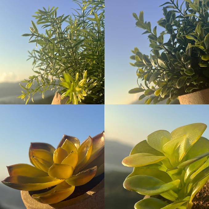 4 Pack Small Fake Plants in Pulp Pot - Image 3