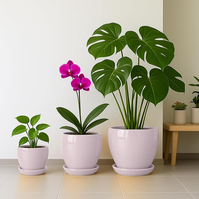 Deep Dream 8 Inch Plant Pots- Ceramic Pots - Image 5