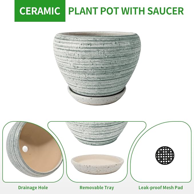 Deep Dream 10 Inch Plant Pot- Ceramic Planter Pot Round Plant Pots - Image 6