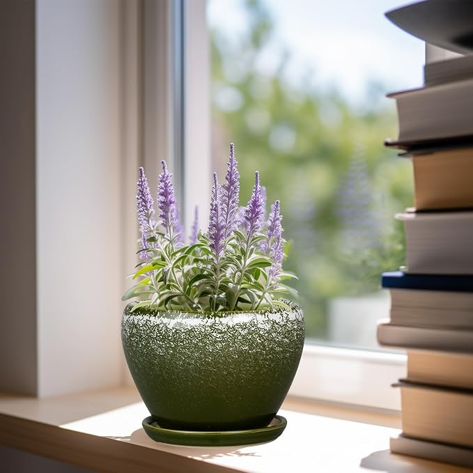 Ceramicfor 6 Inch Plant Pot - Image 4