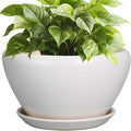 Ceramicfor Ceramic Planter by Ceramicfor