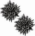 PATIKIL Flower Brooch Pin for Women, Rhinestone Rose Flower Brooch Dainty Fabric Floral Boutonnieres for Women