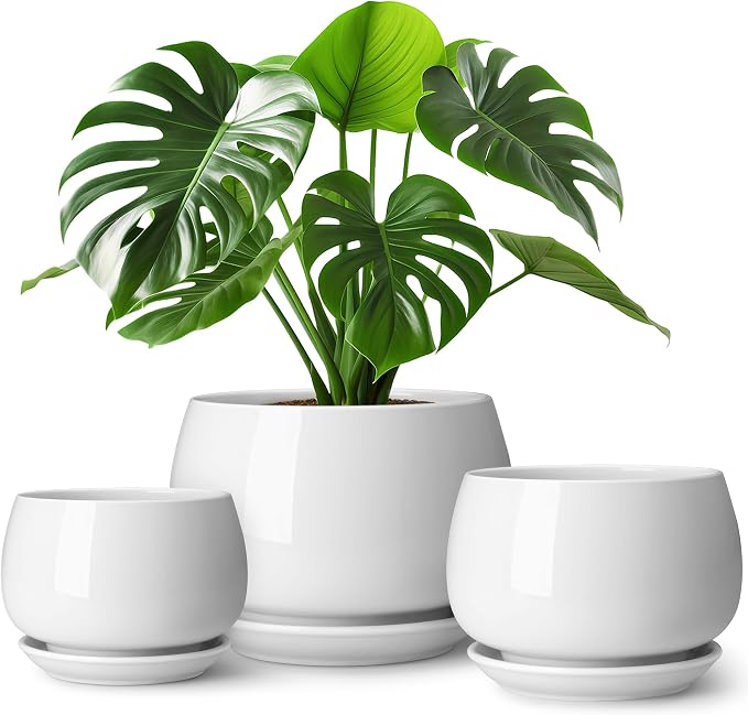 vancasso 3-Pack Ceramic Plant Pots, 7.3/9.6/11.6 Inch Indoor Planters by vancasso