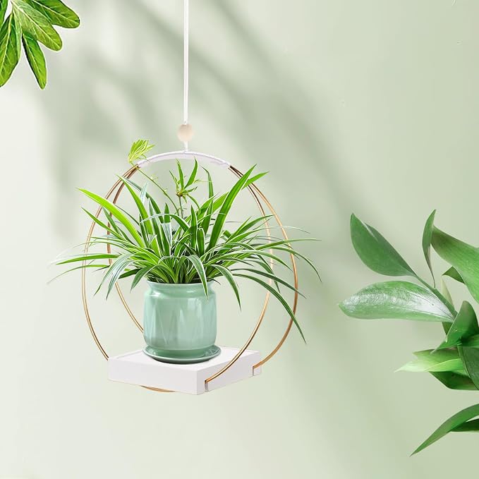 hismocal Hanging Planters for Indoor Plants, Plant Hanger - Image 6
