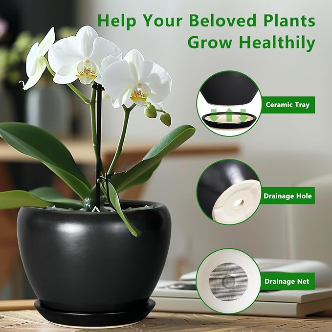 Ceramicfor Ceramic Pot for Plants - Image 5