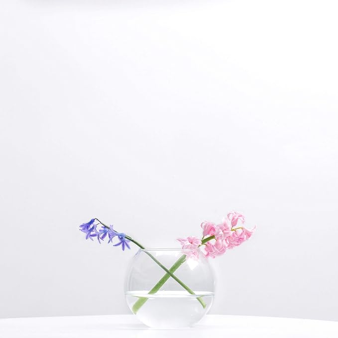 WGV Bowl Glass Vase, Diameter 6", Height 4.5", Open Width 4", 1 Piece - Image 4